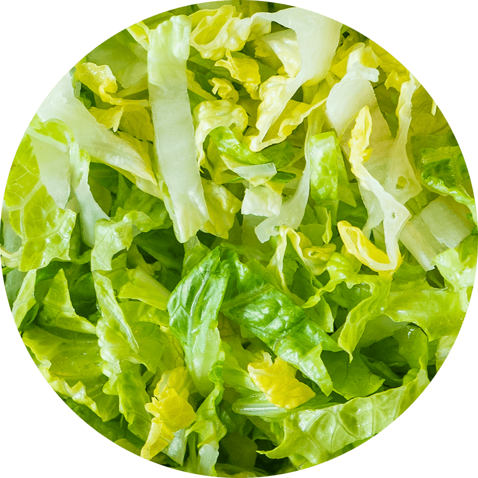 Lechuga